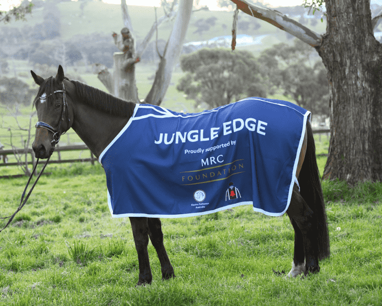 Jungle Edge